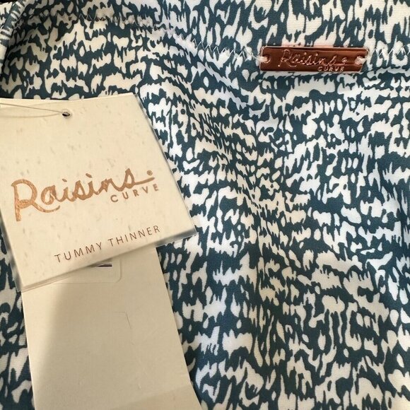 Raisins Curve Trendy Plus Size 22W Blue Costa High-Waisted Bikini Bottoms NWT - Picture 5 of 7